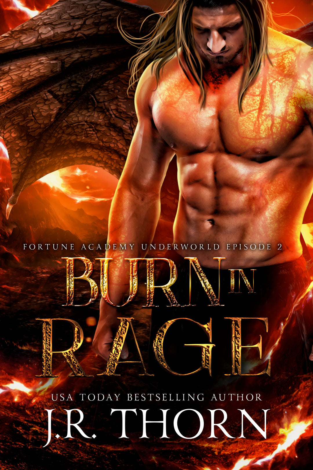 Burn in Rage (Fortune Academy 4.5)