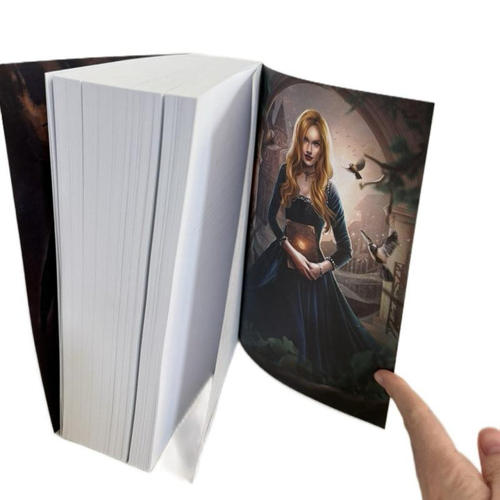 Fortune Academy Author Edition Omnibus