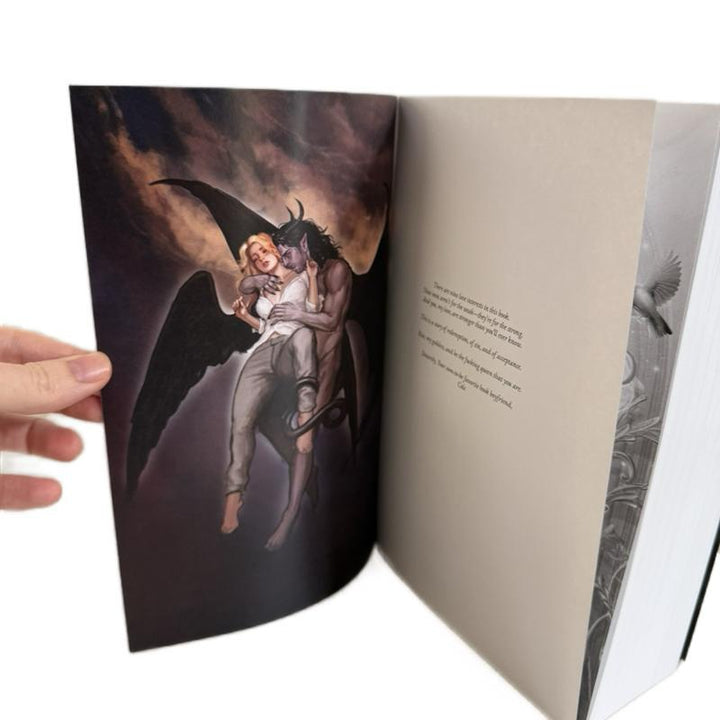 Fortune Academy Author Edition Omnibus