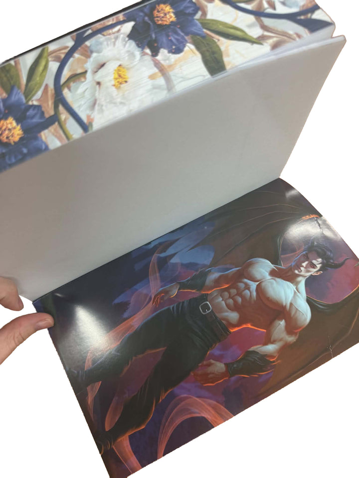 VORBESTELLUNG Fortune Academy Autoren-Edition Omnibus Sonderausgabe