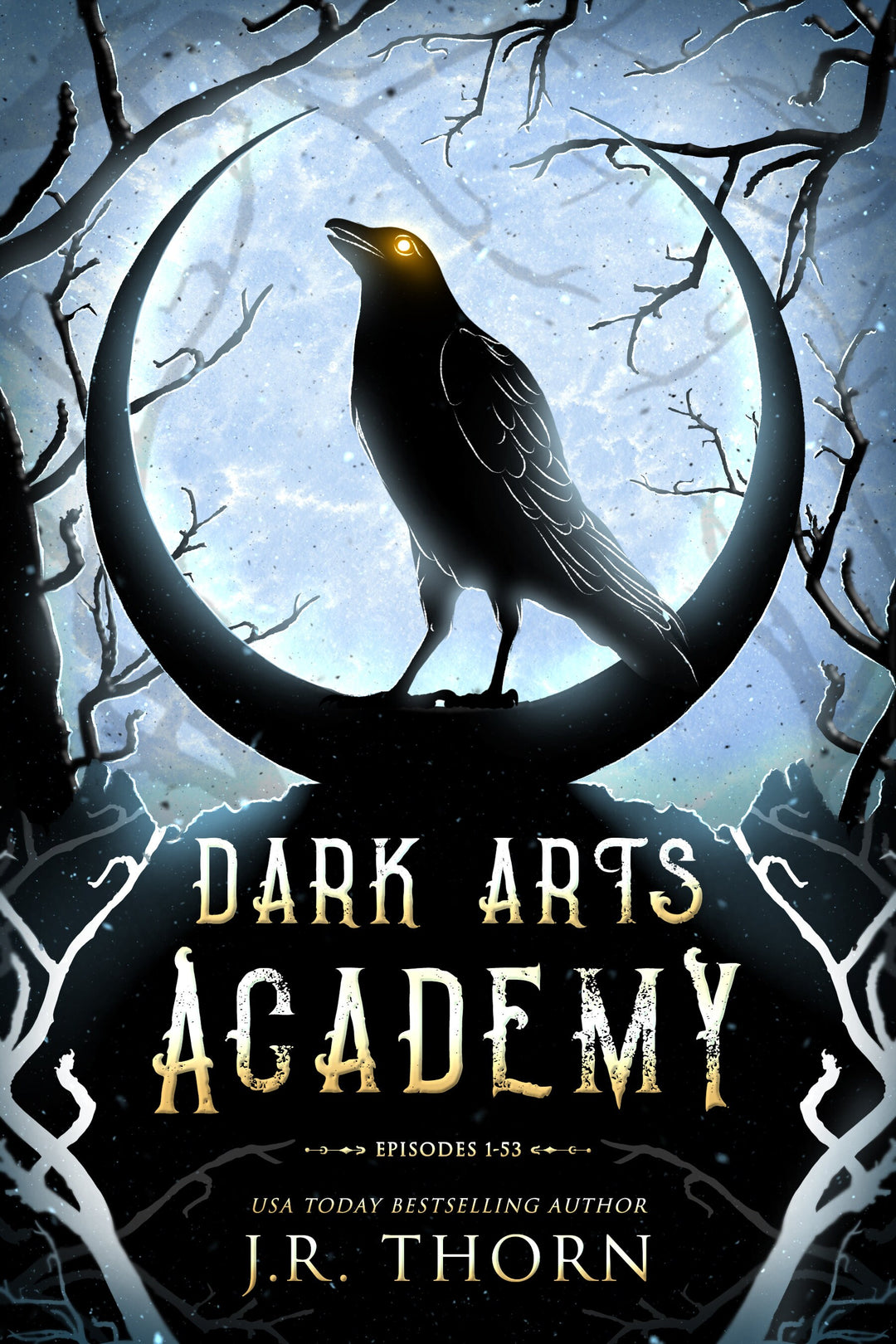 Dark Arts Academy: Part I HARDCOVER SIGNED Edition